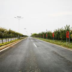 國有三門峽陜州區(qū)S245西張村段道路沿線綠化一標段